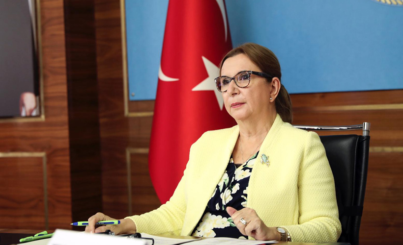 Pekcan:Yabancı plakalı araçların izin süresinin uzatıldı