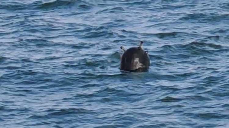 Boğazı girişinde mayın alarmı!