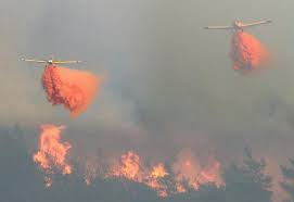 Marmaris Kundakçısı Tutuklandı.