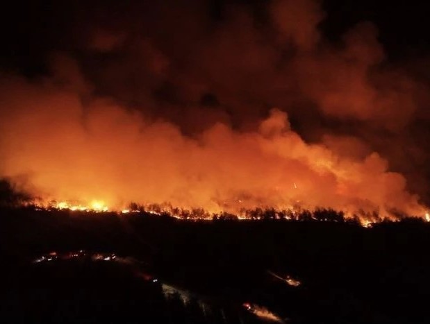 Tekirdağ ve Çanakkale'de orman yangınları büyüyor