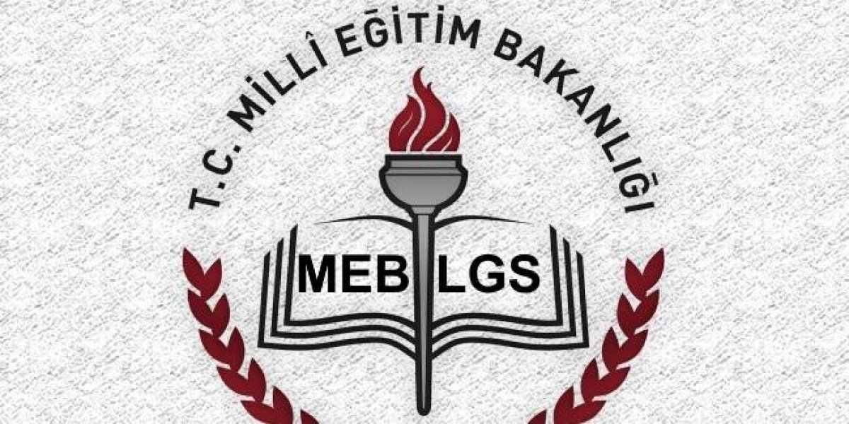 LGS Sonuçları