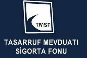 TMSFden Can Holding